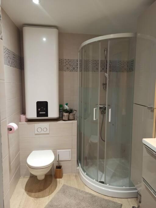 Appartement Cosy Au Coeur Du Mercantour Valdeblore Kültér fotó